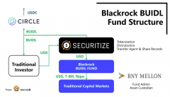 tpwallet钱包|一文解析贝莱德 Blackrock 代币化基金 BUIDL